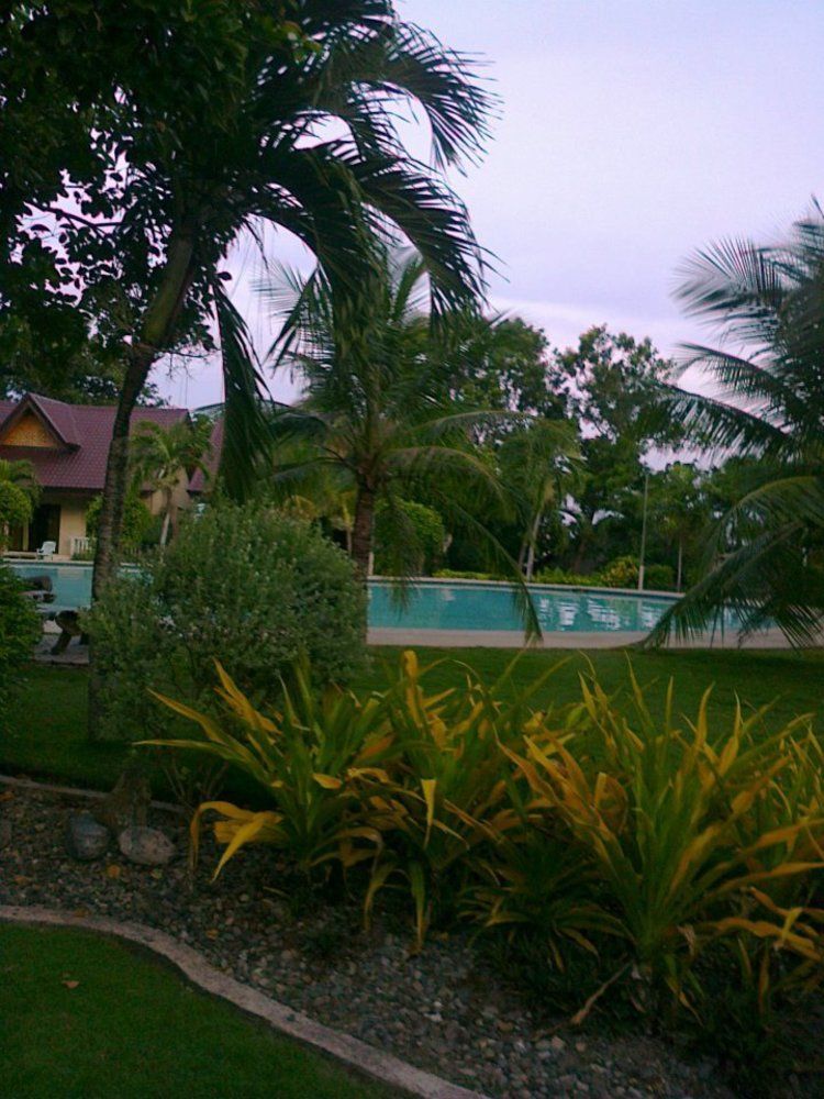 Bohol Divers Resort Totolan エクステリア 写真
