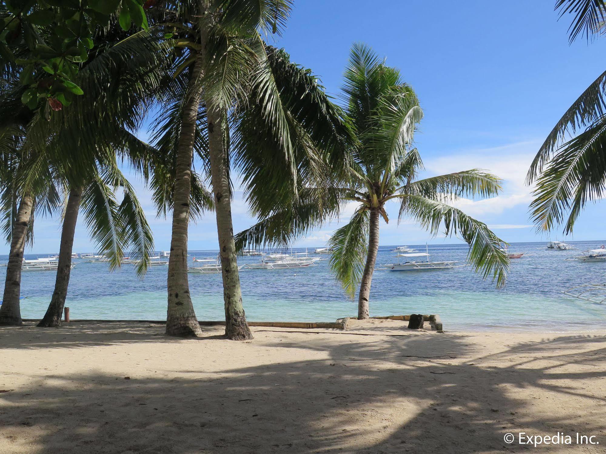 Bohol Divers Resort Totolan エクステリア 写真